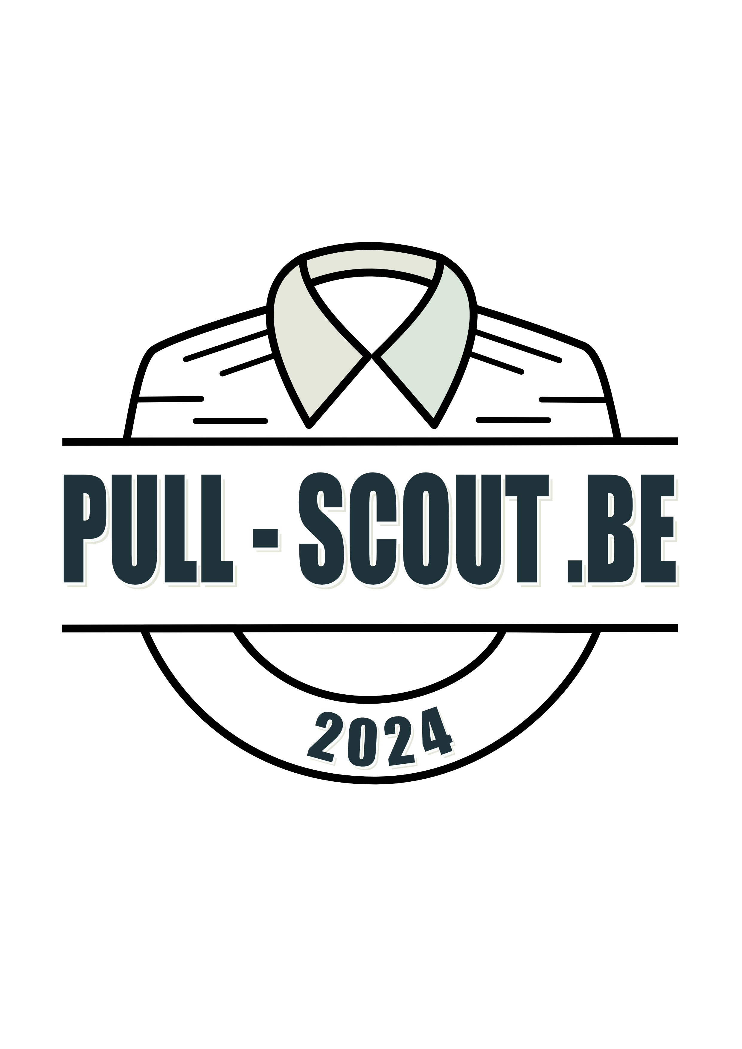 logo du site pull-scout.be